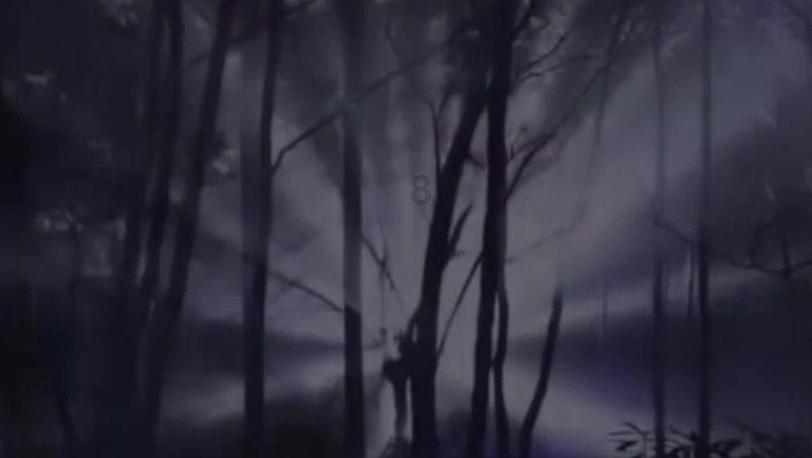 同色彩相撞