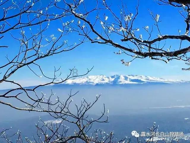 老博扬：罗克是一名非常出色的球员，他将在巴萨取得成功