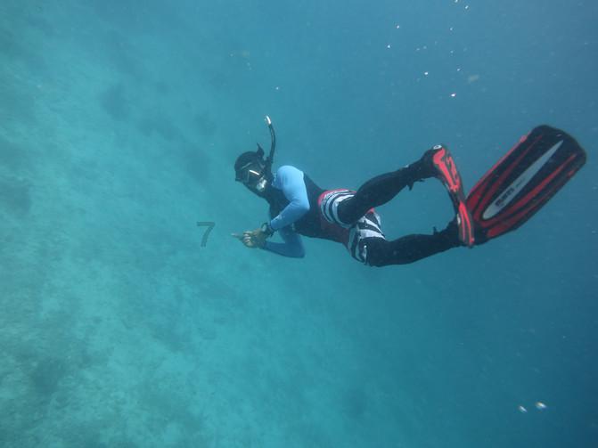 海之号角神秘海怪