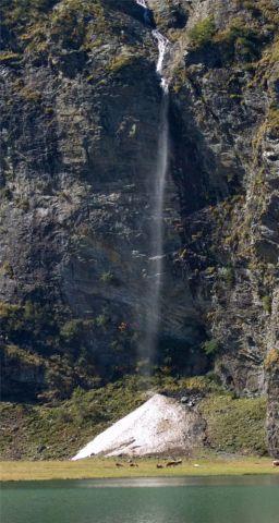 村医踏雪巡诊 守护村民健康